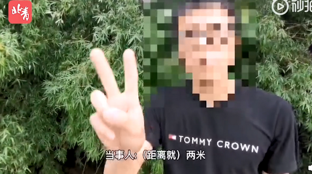 第410页