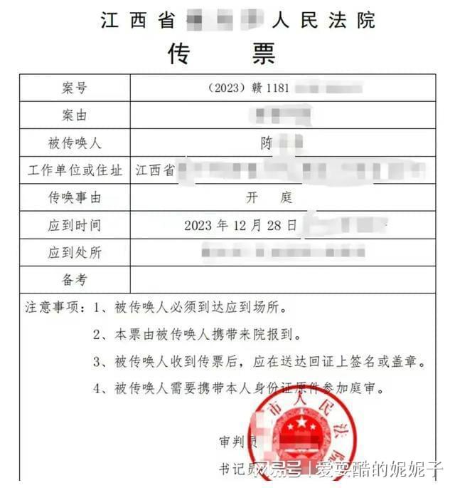 两子非亲生案法院认定无亲子关系两子非亲生案揭秘，法院最终认定无亲子关系，揭示家庭伦理与法律边界的复杂交织